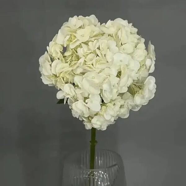 Купить цветы в магазине в городе Пятигорск